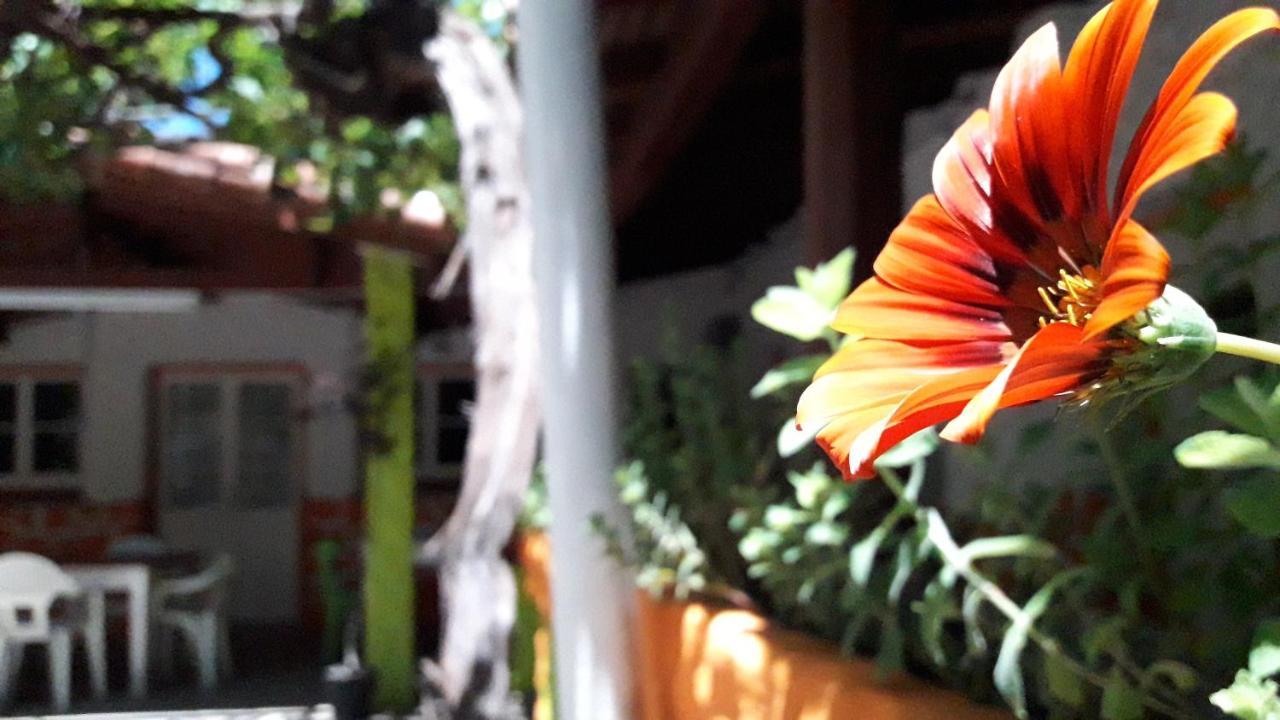 Hospedaje Don Alberto Hotel Potrerillos Exterior foto